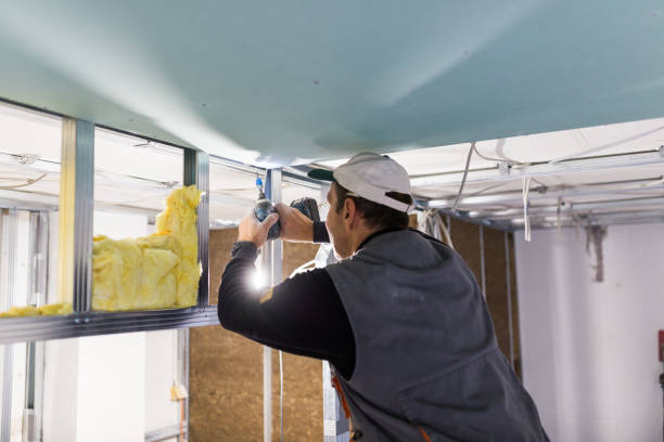 Best Soundproof Insulation Installation  in Montevideo, MN