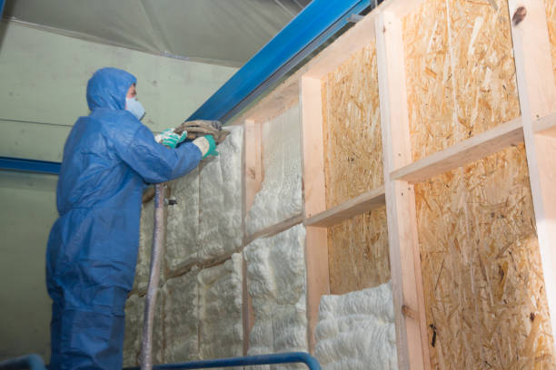 Trusted Montevideo, MN Insulation Contractor Experts